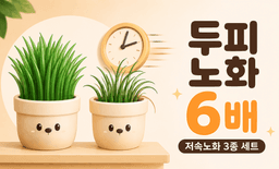 얼굴보다 6배 빨리 늙는 두피, 약사가 추천하는 저속노화 3종 세트